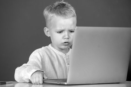 Serious concentrate child using laptop computer, kid boy studying through online e-learning. Little...