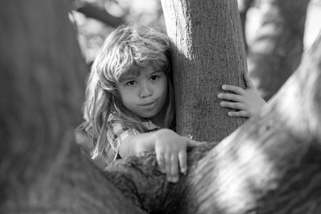 Young child blond boy climbing tree. Happy child playing in the garden climbing on the tree. Funny kids face. Childhood concept.の写真素材
