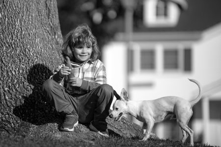 Little boy with dog walking in summer lawn outdoor.の写真素材