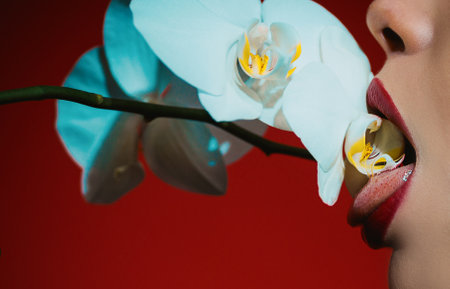 Orchid and sexy woman lips. Orchid flower on sensual woman mouth.の写真素材