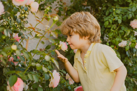 Portrait of beautiful child in the summer blossoming garden. Happy kid on the meadow with white flowers. Warm summer evening. Kids and nature.の写真素材