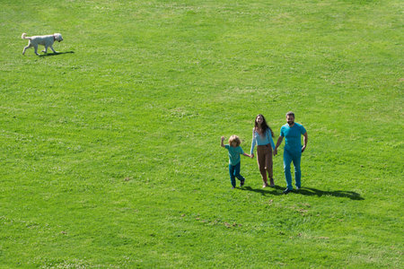 Arial view of happy young parents playing with child outside in park.の写真素材