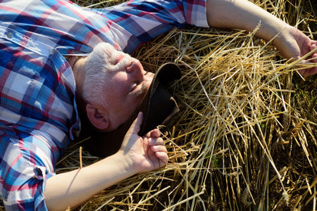 Senior old farmer in the straw hay. Senior taking a break and relaxing on a hay on an summer day. Grandfather laying on haystack in countryside. Mature man resting at cereal field.の写真素材