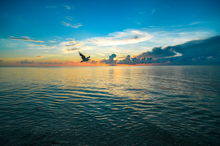 Cloudy sky on sea sunset, sunrise on ocean beach. Sunset landscape in the sky after sunset. Sunrise with clouds of different colors against the sky and sea.の写真素材