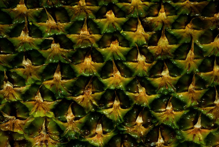 Pineapple skin close up, tropical pattern with copy space. Pineapple bark. Pineapple texture.の写真素材