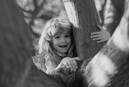 Childhood leisure, happy kids climbing up tree and having fun in summer park. Funny kids face. Children love nature on countryside.の写真素材
