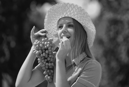 Young woman eating fresh grapes. Portrait of attractive caucasian smiling woman eating grapes. Woman is harvest grapes at farm.の写真素材