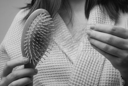 Concept of hair loss. Problem hair in comb, isolated. Damaged unhealthy hair in hand closeup.の写真素材