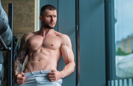 Muscular men lifting weights. Powerful male fit model doing workout in gym. Man lifting dumbells,...