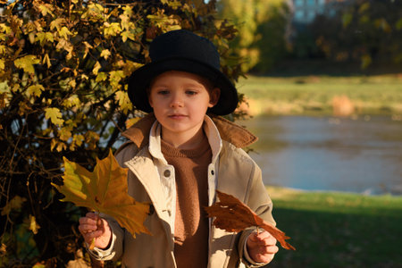 Autumn Child portrait in fall yellow leaves. Little kid boy play with maple leaf in autumnal park...
