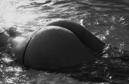 Luxury ass and summer relax concept. Sensual attractive young womans buttocks in hot sexy bikini. Perfect body.の写真素材