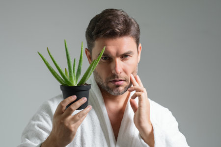 Aloe vera for cosmetics skin mask. Facial mask with aloe vera. Spa, dermatology, wellness and facial treatment concept. Male cosmetic mask with aloe vera.の写真素材