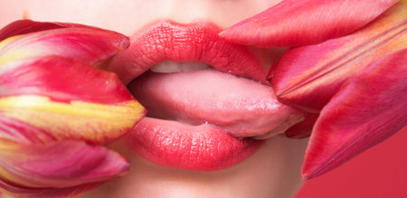 Plump lips lick tulip. Natural lips with tulip. Sexy woman mouth on tulip, macro lip. Caring and tenderness. Closeup sexy lips. Sexy lips stick. Sensual lip touch, balm lipstick.の写真素材