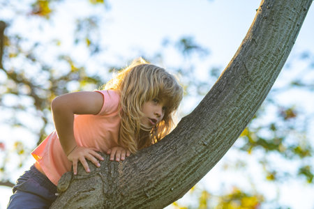 Kid boy playing and climbing a tree and hanging branch.の写真素材