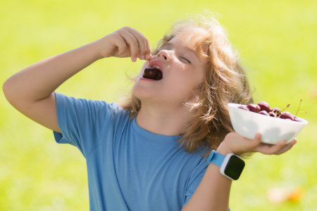 Cherry in kids mouth. Child eat cherries in the summer. Kid is picking cherries in the garden.の写真素材
