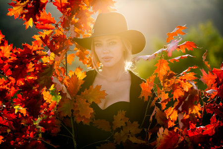 Happy woman holding autumn leafs on face in fall nature. Portrait of young woman with autumn maple leaves outdoor. Pretty girl play with fall leaf walking in park. Warm autumn. Fall season fashion.の写真素材