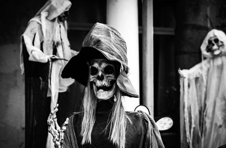 Halloween character in monster costume. Day of the dead, Halloween or Dia.の写真素材