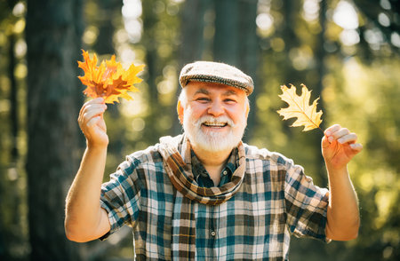 Happy senior man. Grandfather relaxing in autumn park. Senior man strolling in a park in autumn. Maple leaf on hiking trail in park.の写真素材