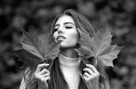 Outdoor fashion photo of young beautiful lady on autumn leaves.の写真素材