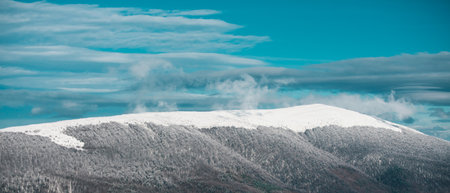 Cold and snowy winter mountains. Winter landscape with trees covered with snow hoarfrost.