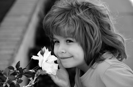 Portrait of a sweet little child boy enjoying flowers aroma, having fun in spring park. Little kid on meadow with wild flower. Happy child outdoors in spring field.の写真素材