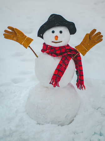 Happy winter time. Snowman isolated on snow background. Merry Christmas and Happy Holidays.の写真素材