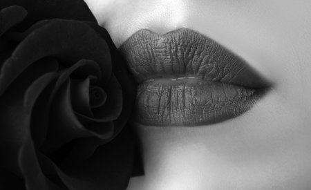 Sexy plump lips red lipstick. Lips with lipstick closeup. Beautiful woman lips with rose.の写真素材