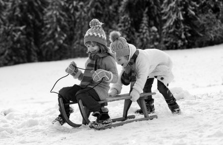 Children sledding, riding a sledge. Children son and daughter play in snow in winter. Outdoor kids fun for vacation. New Year wallpaper, Christmas greeting card.の写真素材