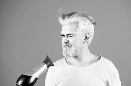 Blonde funny bearded man hair dry. Hair care male isolated.の写真素材