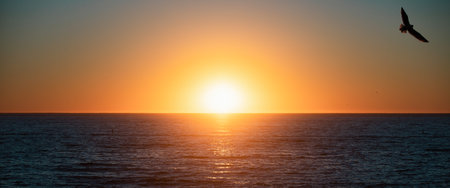 Beach sunrise over the tropical sea. Colorful sunset on the beach. Paradise beach.の写真素材
