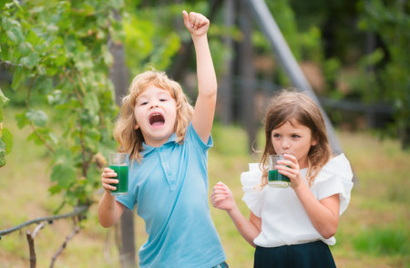 Portrait of brother and sister walking outdoors in summer park. Little boy and girl kids enjoying summer at backyard. Best friends of two children.の写真素材