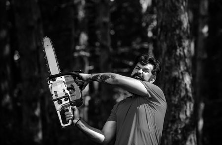The Lumberjack working in a forest. Deforestation is a major cause of land degradation and destabilization of natural ecosystems. Woodworkers lumberjack.の写真素材