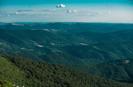 Mountains traveling. Mountain range and tree forest. Nature landscape. National Park. Travel...