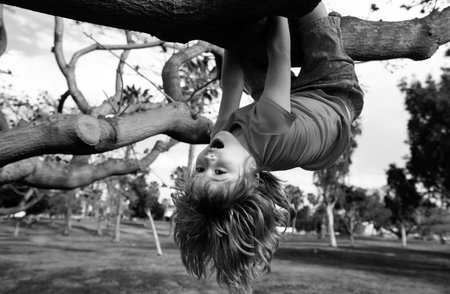 Cute blonde child boy hangs on a tree branch. Summer holidays, little boy climbing a tree. Upside down. Children love nature on countryside.の写真素材