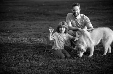 Son and father as family with dog playing together in summer park on grass. Child with her pet...
