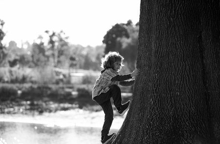 Kid boy playing climbing on tree outdoor on autumn day. Child learning to climb, having fun in park on warm sunny dayの写真素材