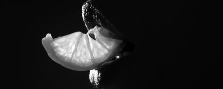 Lips with lemons. Vitamin C. Summer refreshment concept. Banner.の写真素材