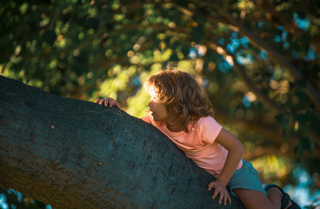 Cute Child boy hanging from branch of tree.の写真素材