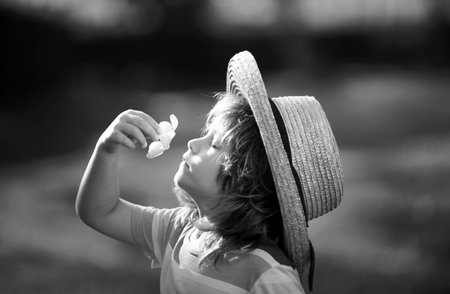 Close up portrait of a cute little child in straw hat smelling plumeria flower. Childhood and parenting concept. Summer holiday.の写真素材