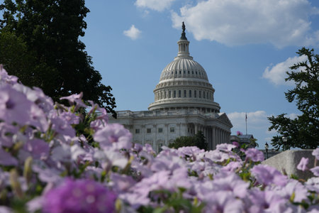 Capitol building near blossom spring. US National Capitol in Washington, DC. American landmark....