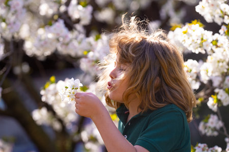 The spring holidays. Happy kid playing under blooming cherry tree with flowers. Kids face near spring blossom nature background. Spring fun. Kid outdoors in a beautiful spring garden.の写真素材