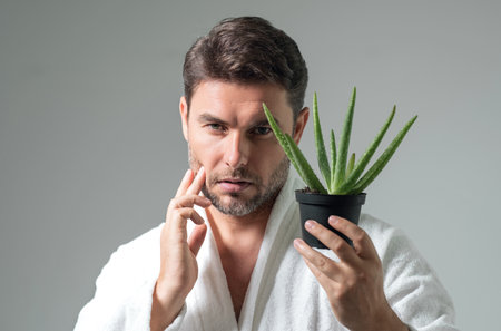 Aloe vera for cosmetics skin mask. Facial mask with aloe vera. Spa, dermatology, wellness and facial treatment concept. Male cosmetic mask with aloe vera.の写真素材