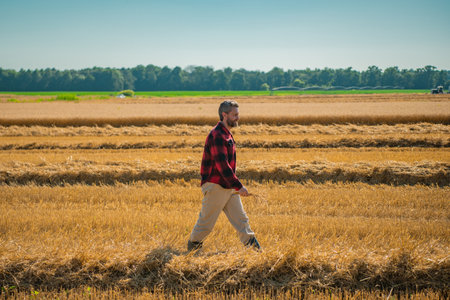 Farmer Checking Wheat. Man farmer near crop ears before harvest. Happy farmer in his growing wheat field. Agriculture. Farm agriculture field concept. Portrait of farmer growing wheat field.の写真素材