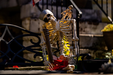 Halloween decorations. Halloween pumpkin and skeleton for decorated house. Scary Decorated at front yard of a American home. Trick or treat. Halloween background. Autumn holiday of Halloween.の写真素材
