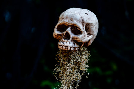 Halloween skull decorations. Halloween skull skeleton for decorated house. Scary skull Decorated at front yard of a home. Trick or treat. Halloween skull background. Holiday of Halloween.の写真素材