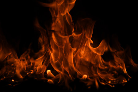Fire flame. Burn lights on a black background.