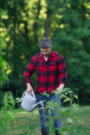 Gardener is caring for fruit tree at garden. Man planting a plant. Farmer at the garden. Organic...