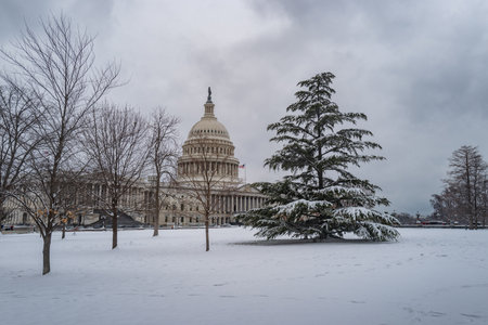 US Washington D. C. in winter snow. Capitol Building. Washington city Capitol. United States Capital. USA landmark. Washington D.C. Washington Capital city.の写真素材