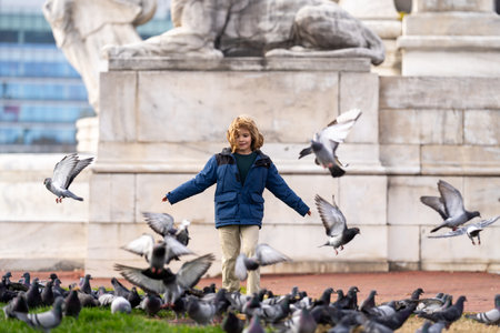 Happy child chasing birds, running on autumn day. Child run for pigeons. Running kids concept. Happy childhood. A Happy child chases running pigeons in park. Happy Child run with doves. Carefree Kid run pigeons.の写真素材