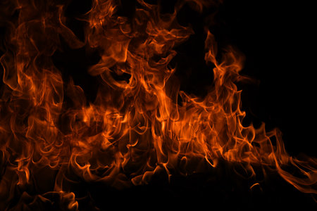 Flame fires. Burn lights on a black background. Fire flames on black background. Abstract fire flame...